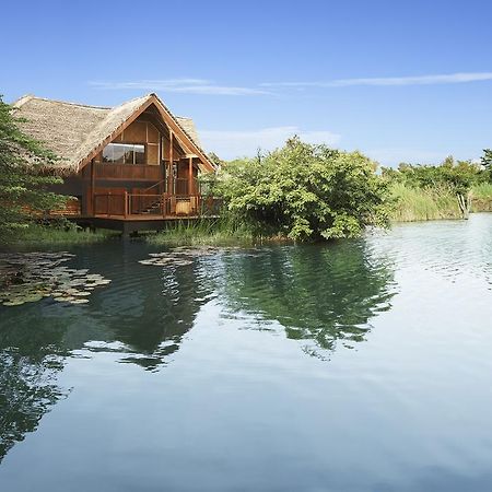 Jetwing Vil Uyana, A Luxury Reserve Szigirija Kültér fotó