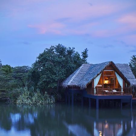 Jetwing Vil Uyana, A Luxury Reserve Szigirija Kültér fotó