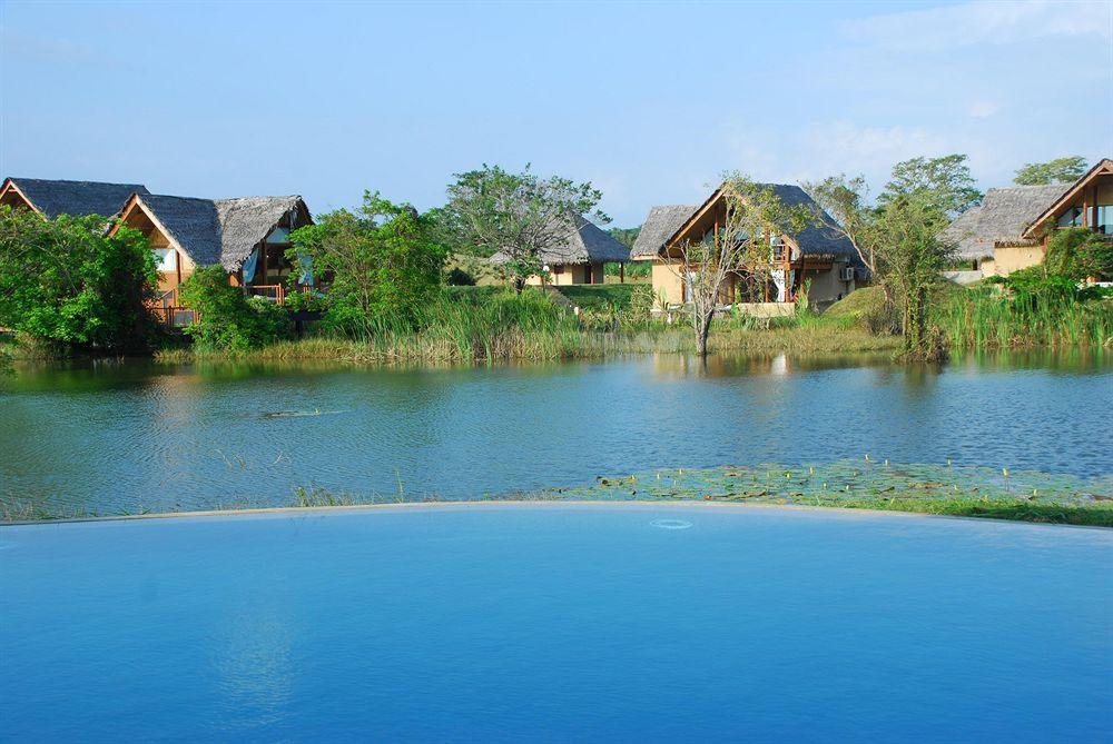 Jetwing Vil Uyana, A Luxury Reserve Szigirija Kültér fotó